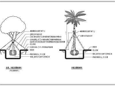 景观节点 景观树种植大样图 施工图