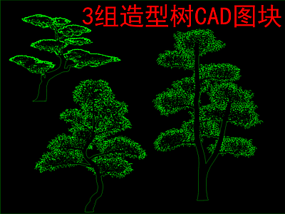 现代树 造型树立面图块 施工图