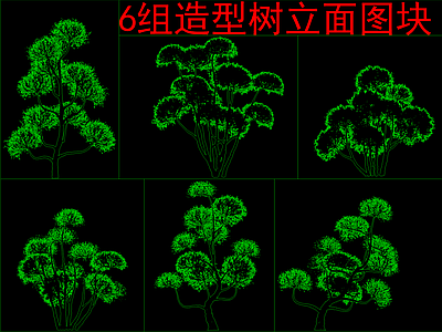 现代树 造型树立面图块 施工图