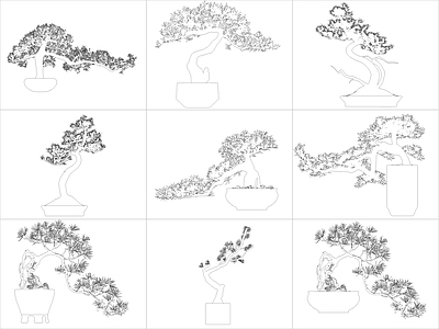 新中式树 9组造型树盆栽 施工图