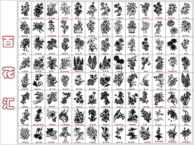 现代花 卉汇总 施工图