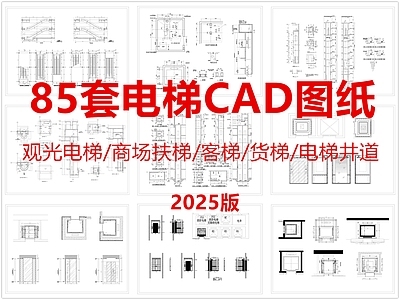 现代电梯厅 观光电梯 自动扶梯 客梯货梯 电梯井道 电梯轿厢 施工图