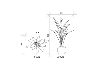 现代综合植物图库 赫蕉属植物 赫蕉 芭蕉科植物 热带芭蕉 观赏赫蕉 施工图