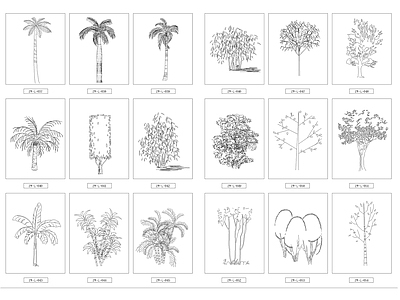 现代综合植物图库 景观立面植物 施工图