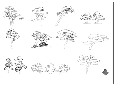 新中式植物配置图库 景观造型树 造型松树 植物图例 施工图