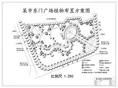 现代新中式公园景观 滨江公园 曲线公园景观 体育公园 山地公园景观 滨水 施工图