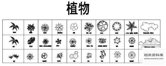 图块/节点植物01