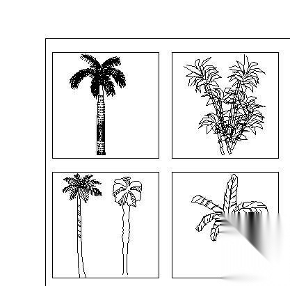 植物立面图400例