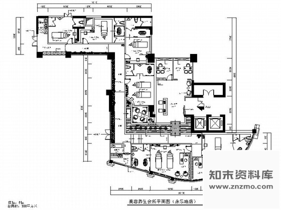 施工图特色雅致时尚美容养生会所室内装修施工图