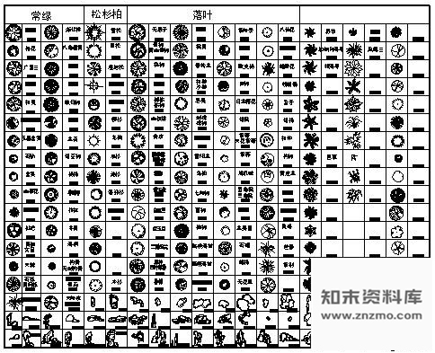 图块/节点植物、景石图块