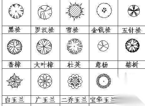 景观设计常用植物平面图例