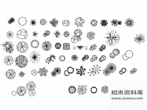 图块/节点室内外绿植CAD图块下载