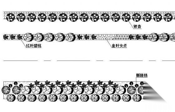 道路绿化标段及横断面图纸